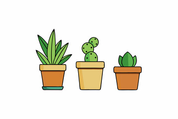Potted plant for indoor vector illustration on white background.