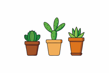 Potted plant for indoor vector illustration on white background.