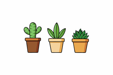 Potted plant for indoor vector illustration on white background.