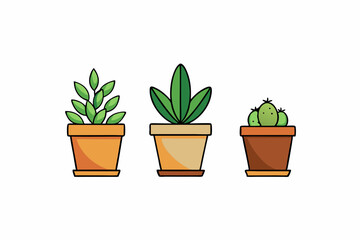 Fototapeta premium Potted plant for indoor vector illustration on white background.