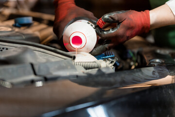 Skilled Mechanic Pouring Fluid into Car Engine for Maintenance
