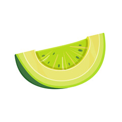 2D flat vector illustration melon icon isolated on a white background.