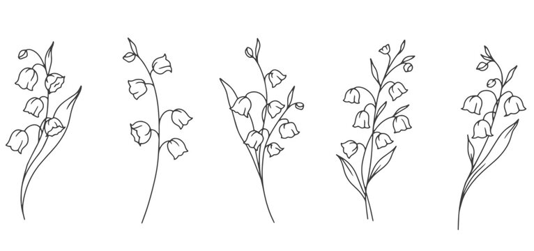 Lily of the Valley Line Art. Trendy floral branches and flowers. Botanical Line Art Spring Collection. Hand drawn line art lily of the valley flowers. Luxury Line Floral Art.