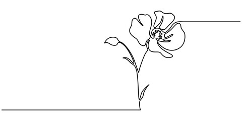 One line poppy flower drawing, continuous single line drawing of red wild flower, colored corn poppy line art vector illustration, Poppy flowers in continuous line art drawing style. 