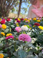 Obraz premium Flower festival