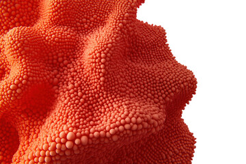 Microscopic view of red cells floating in dark background, white background. PNG transparent.