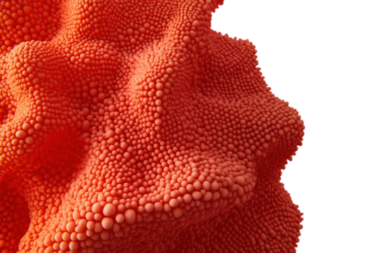 Microscopic view of red cells floating in dark background, white background. PNG transparent.