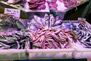 Fresh fish in Les Halles Market, Narbona or Narbonne, France