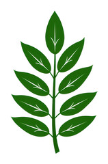 Fototapeta premium Explore the beauty of nature through the intricate design of a green leaf stem transparent background