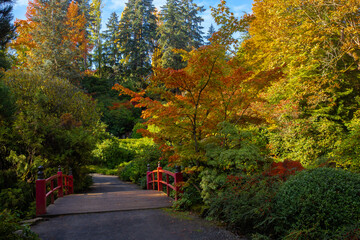 Heart Bridge is surrounded by lush, vibrant fall colors at Kubota Garden in Seattle, WA
