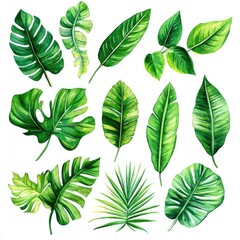 Fototapeta premium Watercolor Tropical Leaves Design Set for Summer Decor