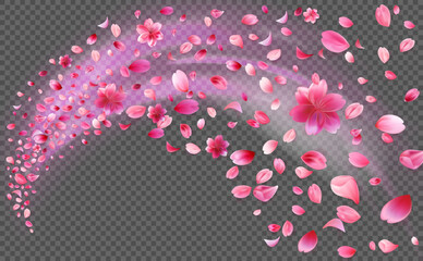 Beautiful pink sakura petals and flowers in motion with a soft glow effect, isolated on transparent background. Stock vector illustration