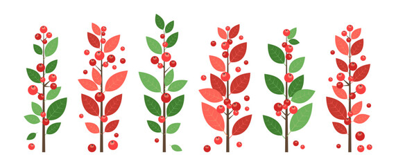 Christmas red berry, holiday tree and plant, branch leaves icon, decoration fruit sprig, Xmas floral set. Cartoon twig isolated on white background. New Year color foliage. Nature vector illustration