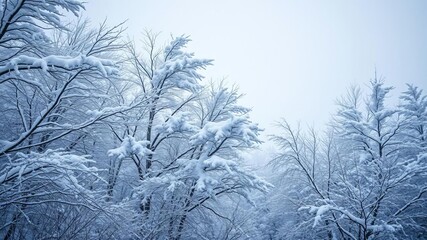 A dramatic winter landscape with snow-covered trees being bent by strong winds, nature, power