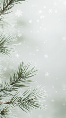 Frosted Pine Branches with Falling Snowflakes Background, Close-up of frosted pine branches with delicate snowflakes falling in the background. Perfect for winter or holiday-themed designs

