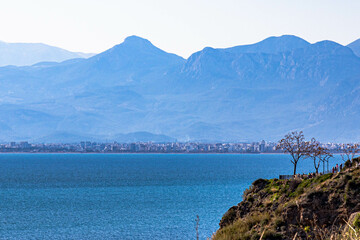 Lonely tree on a clıff and blue Taurus mountains in the background in wintertime. Antalya, Turkey	