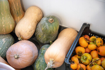 A variety of squash and persimmons displayed together, highlighting seasonal autumn produce with vibrant colors and textures, perfect for healthy, nutrient-rich recipes and cooking inspiration.