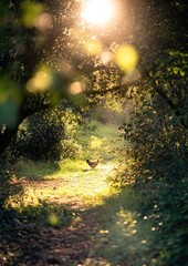 Fototapeta premium A serene forest path illuminated by sunlight, with a chicken wandering through.