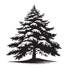 Pine tree covered in snow silhouette vector black color and solid white background 