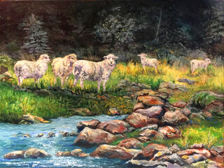 Grazing Sheep Landscape New Zealand Release for art