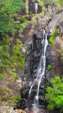 Waterfall among tropical jungle with green plants and trees. Bambarakanda Falls. Sri Lanka.