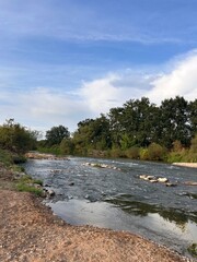 river in the forest