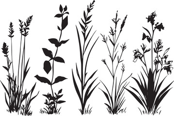 Set plants. Hand drawn vector illustration