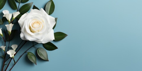 Fototapeta premium A single white rose with green leaves arranged on a blue background, creating a minimalist floral composition.