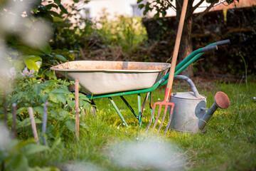 Jardin potager et son arrosoir sous le soleil du printemps. © Thierry RYO