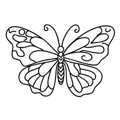 beautiful butterfly doodle