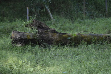 abandoned and eery
