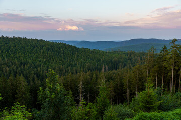 Schwarzwald bei schönem Wetter