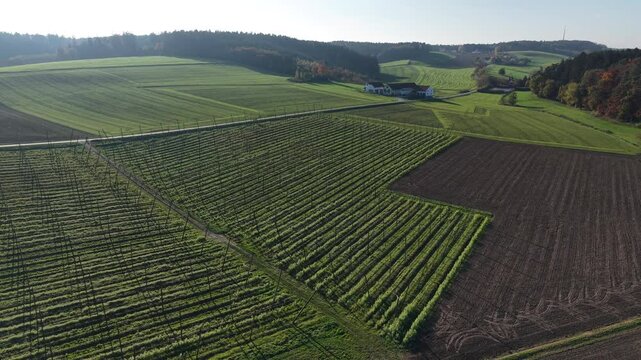 Fly over an empty Bavarian hops field after harvest season