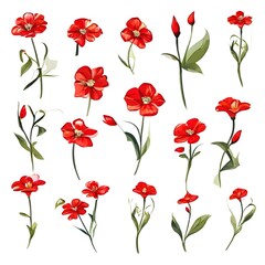 Flower concept design idea isolated on a white background