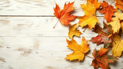 Obraz premium Autumn leaves scattered on a white wooden background.