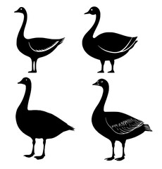 Gans Silouette