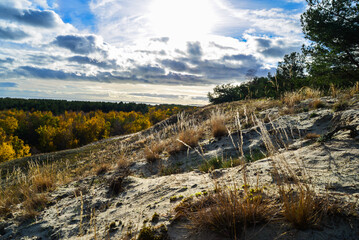 a sand dune  with a few trees and grass and  a sky with clouds