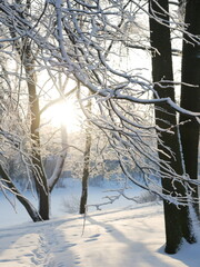 Winter landscape - a snow-covered park with beautiful trees, covered with hoarfrost. A Christmas picture - a winter forest, a sunny day in a fairy-tale park.
