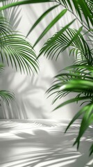 Fototapeta premium Minimalist mockup scene with palm leaves shadow on white background