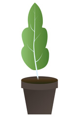 Green plant in a pot vector image, png plant in a pot image