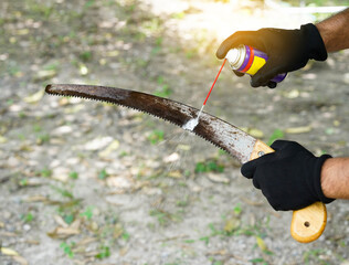 Man hands with black glove use lubricating oil spray to an old steel hand saw prepare before pruning plants or garden tool maintenance concept.