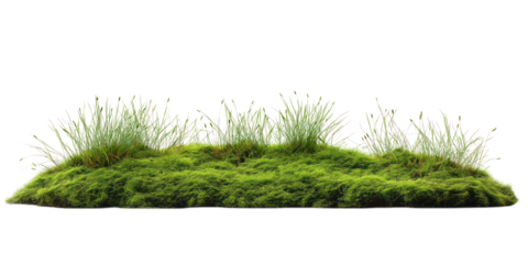 Rich green grassy field isolated on isolated transparent background. Vibrant green grass covers field, soft and inviting. Small bushes add color and texture. Bird eye view of field and surroundings.