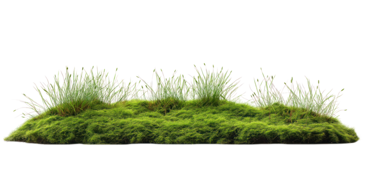 Rich green grassy field isolated on isolated transparent background. Vibrant green grass covers field, soft and inviting. Small bushes add color and texture. Bird eye view of field and surroundings.