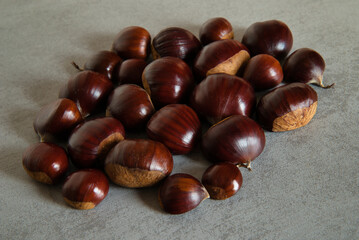 Close-up photograph of a group of freshly picked chestnuts from Navarra-Spain, isolated on a gray background.