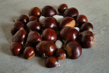 Close-up photograph of a group of freshly picked chestnuts from Navarra-Spain, isolated on a gray background.