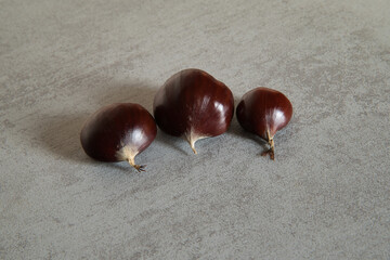 Close-up photograph of 3 chestnuts of different sizes, with gray background.