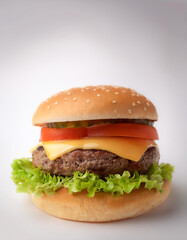 fresh tasty burger on light background