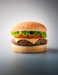 fresh tasty burger on light background