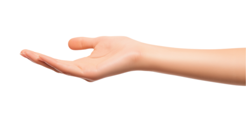 Young female hand reaching out with fingers pointing up. Open palm on light gray background. Neutral backdrop for presentation, product show, or business concept. Transparent isolated alpha mask.