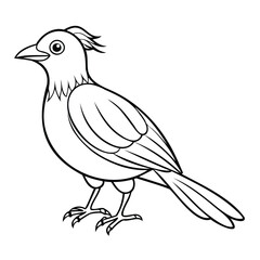 Cartoon Bird Line Drawing with Tuft